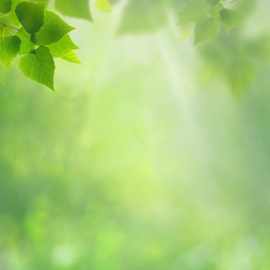 Blue Lotus Wellness Clinic